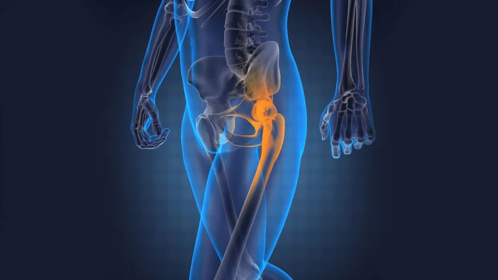 Hip Joint In Nagpur