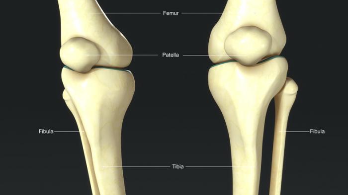 Joint Fracture In Nagpur