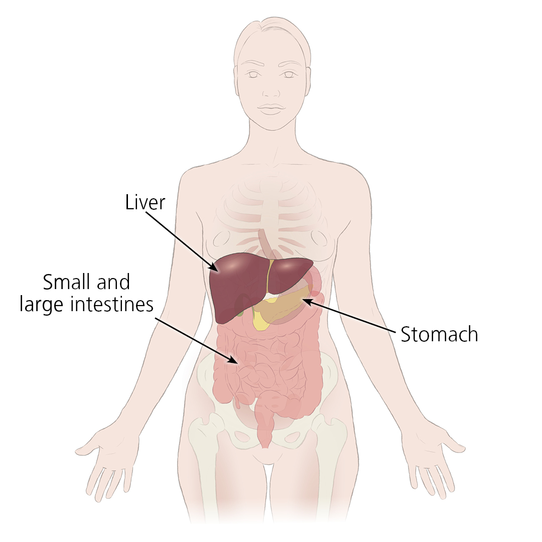 Stomach/liver/ Kidney Surgery