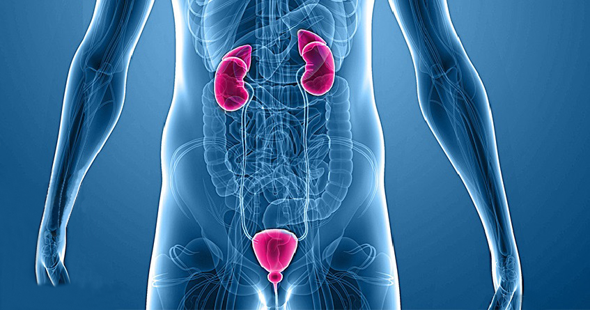 Urosurgery